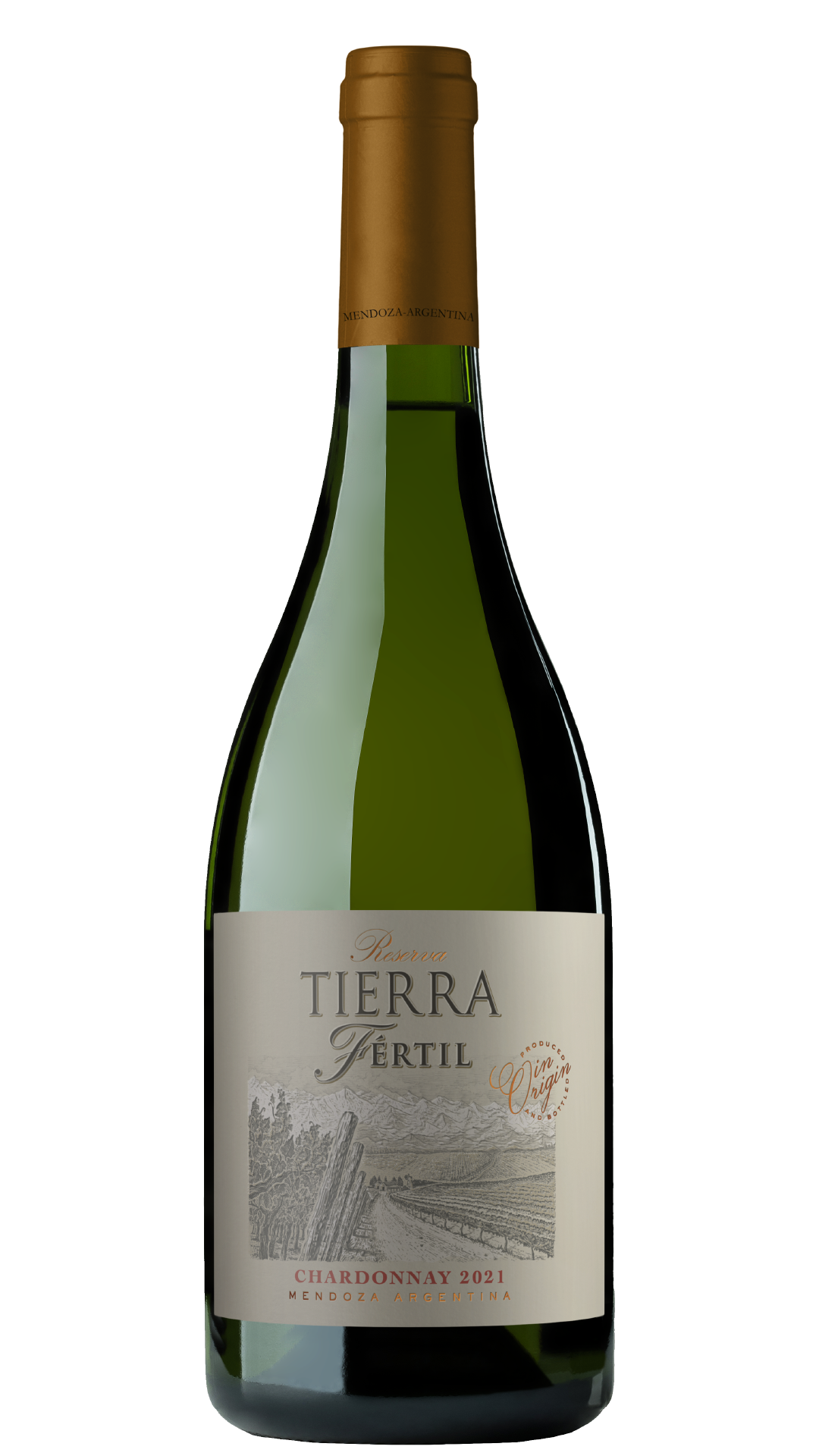 Chardonnay Reserva